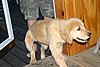 2007 October 016.jpg