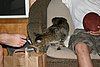2007 October 017.jpg