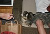 2007 October 018.jpg