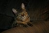 2007 October 033.jpg
