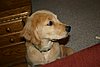 2007 October 034.jpg