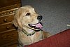 2007 October 035.jpg
