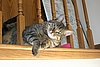 IMG_7179.JPG
