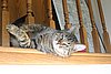 IMG_7180.JPG