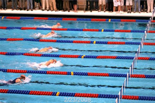 StateBSwim08 129.jpg