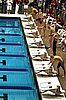 StateBSwim08 119.jpg