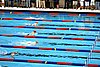 StateBSwim08 128.jpg