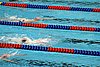 StateBSwim08 135.jpg