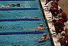 StateBSwim08 142.jpg