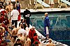 StateBSwim08 156.jpg