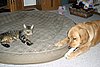 IMG_7130.JPG