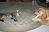IMG_7131.JPG
