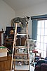 IMG_7133.JPG
