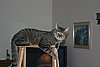 IMG_7134.JPG