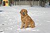 IMG_7161-e.JPG