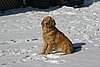 IMG_7162.JPG