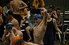 IMG_7374.JPG