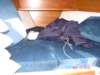 dsc04545_small.jpg