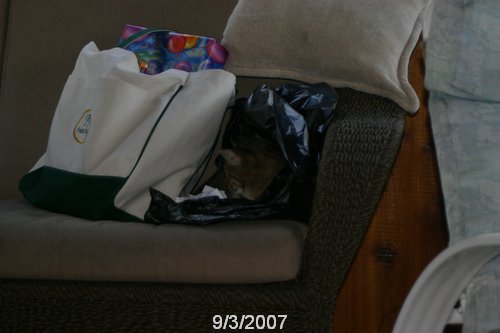 2007 September 012.jpg