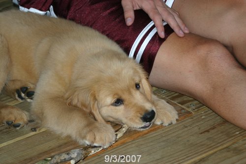 2007 September 019.jpg