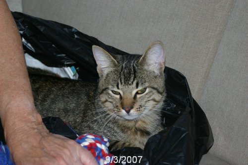 2007 September 020.jpg