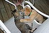 2007 September 004.jpg