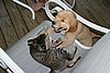 2007 September 005.jpg