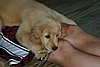 2007 September 017.jpg