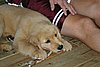 2007 September 019.jpg