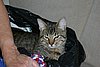 2007 September 020.jpg