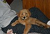 2007 September 022.jpg