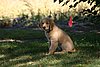2007 September 043.jpg