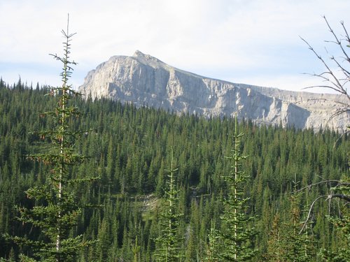2008 Bob Marshall Wilderness Trip 094.jpg