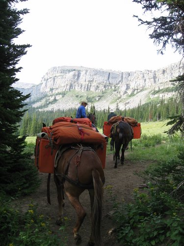 2008 Bob Marshall Wilderness Trip 115.jpg