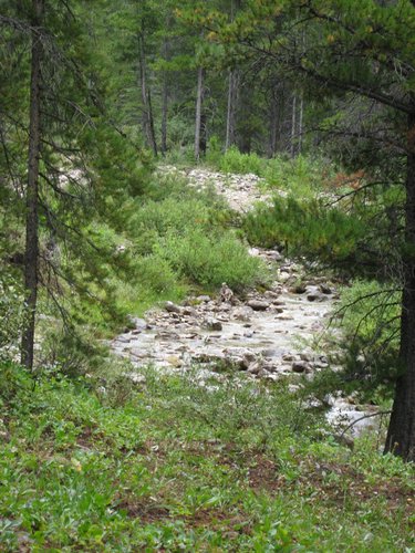 2008 Bob Marshall Wilderness Trip 178.jpg