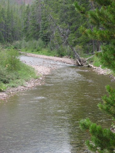 2008 Bob Marshall Wilderness Trip 193.jpg
