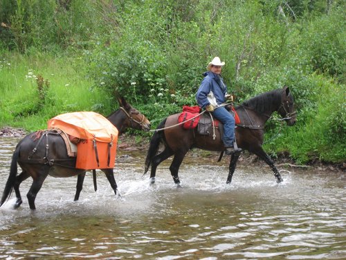 2008 Bob Marshall Wilderness Trip 199.jpg