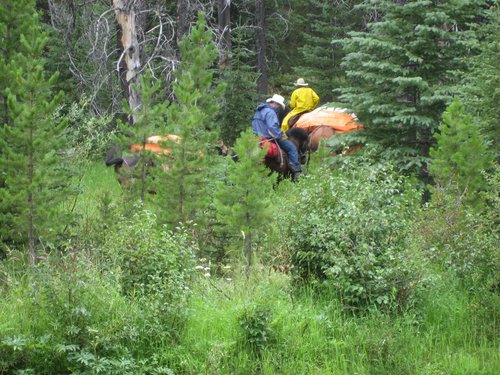 2008 Bob Marshall Wilderness Trip 200.jpg