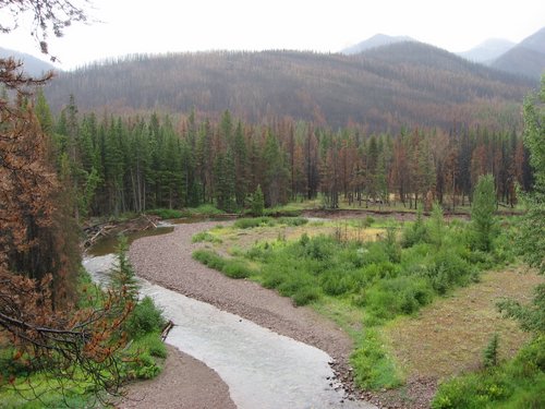 2008 Bob Marshall Wilderness Trip 215.jpg