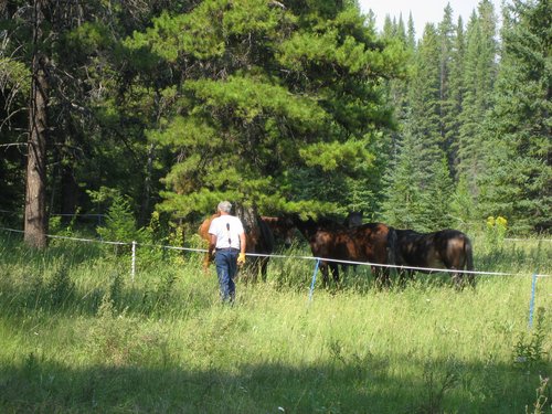 Dad checking in on the stock.jpg