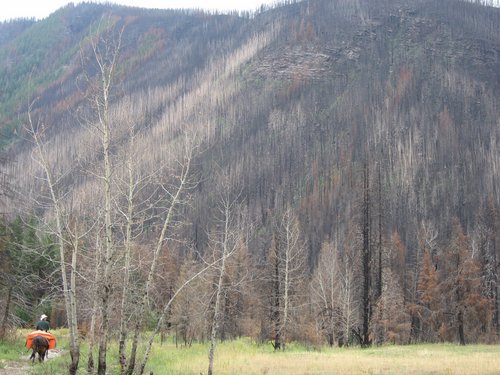 Greg on Baywood ponying OJ viewing the 07 wildfire damage.jpg