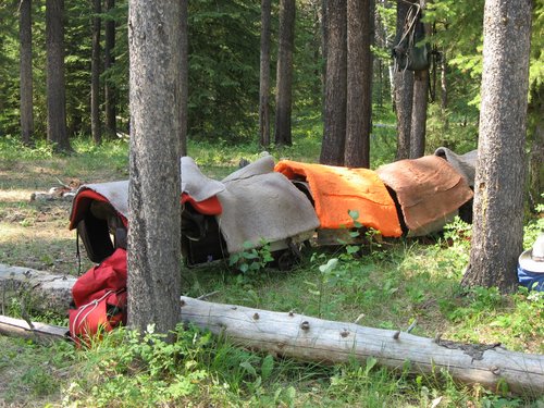 Saddle Rack at Pretty Prairie.jpg