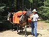 2008 Bob Marshall Wilderness Trip 006.jpg