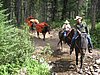 2008 Bob Marshall Wilderness Trip 013.jpg