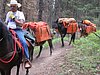 2008 Bob Marshall Wilderness Trip 014.jpg