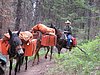 2008 Bob Marshall Wilderness Trip 015.jpg