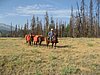 2008 Bob Marshall Wilderness Trip 062.jpg