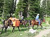 2008 Bob Marshall Wilderness Trip 113.jpg