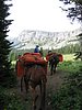2008 Bob Marshall Wilderness Trip 115.jpg
