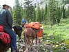 2008 Bob Marshall Wilderness Trip 122.jpg